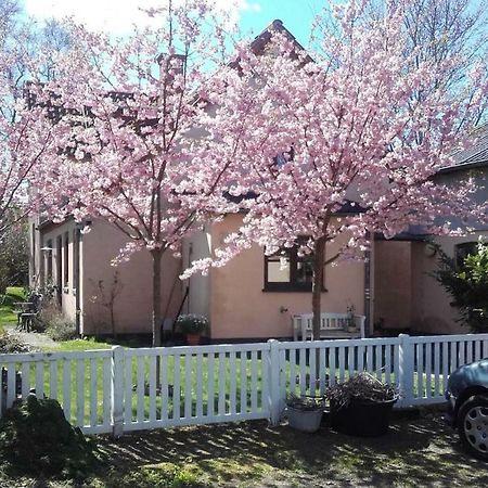 Pegasus Bed And Breakfast Helsinge Exterior photo