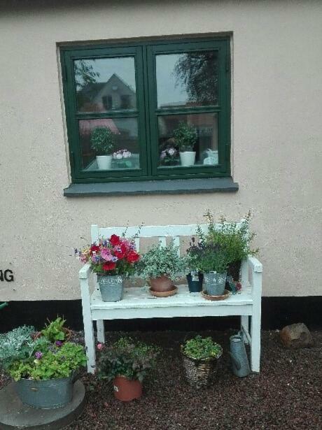 Pegasus Bed And Breakfast Helsinge Exterior photo